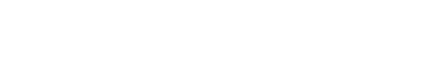 Precise shipping East Africa logo